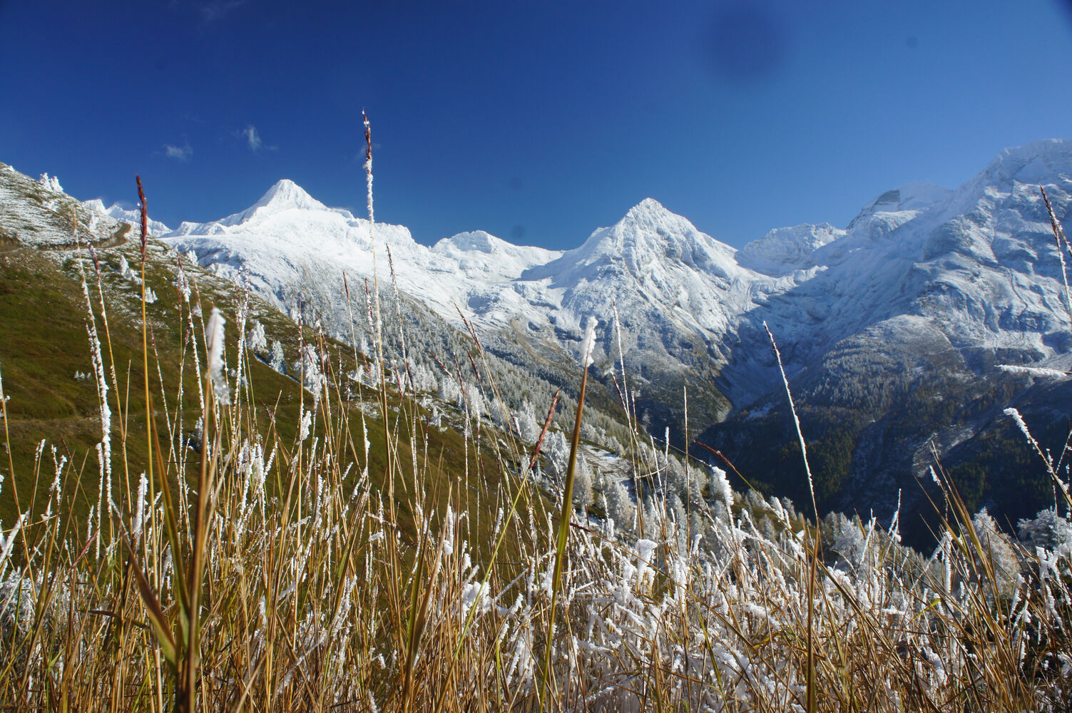 Rosswald