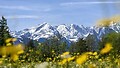 Sommarregion