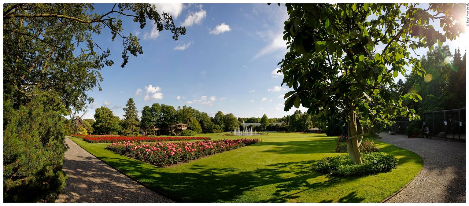Vogelpark-Region