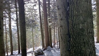 Winterwanderung