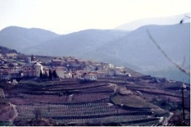 Lisignago