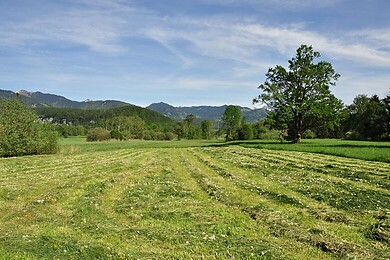 Koblach