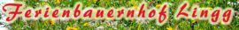 Logo Ferienappartements Lingg