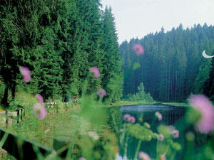 Höfen an der Enz