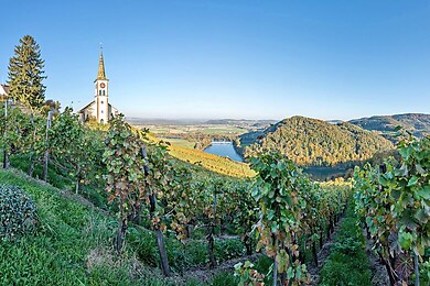 Rüdlingen