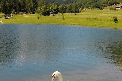 Vermiglio - Passo Tonale