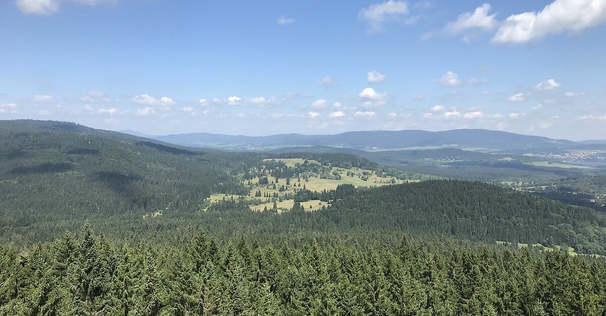 Böhmerwald Rundweg Moldaublick mit Alpenblick BERGFEX Wandelen Tocht OpperOostenrijk