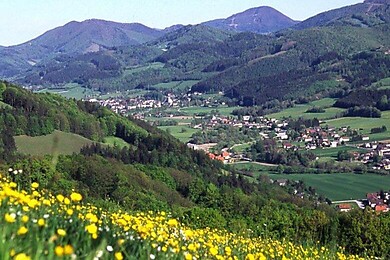 St. Veit an der Gölsen