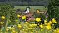 Sommerregion