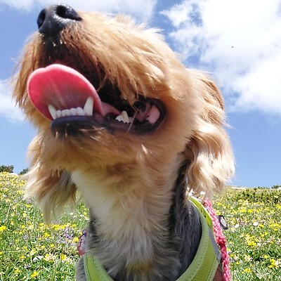 Avatar z Mario Thomaschütz