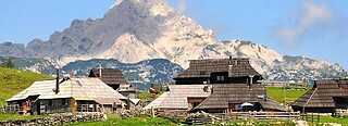 Velika planina