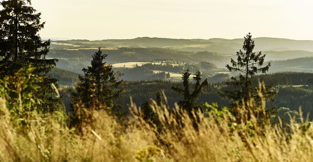 BERGFEX: Frankenwald: Vacances Frankenwald - Voyager Frankenwald