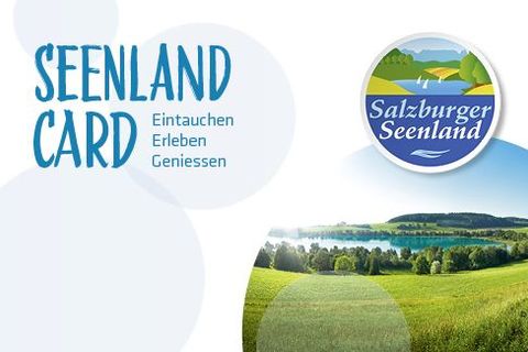 Henndorf Am Wallersee Partnersuche Online