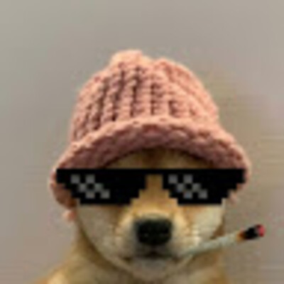 Avatar von ttv_igsparkzy