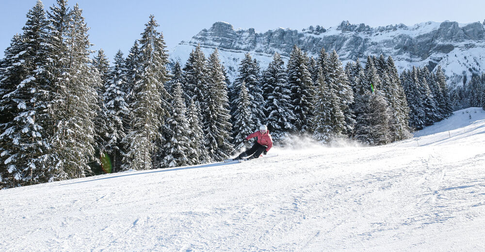 Plan skijaških staza Skijaško područje Bumbach - Schangnau