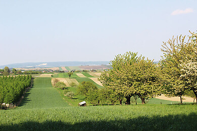 Pöttsching