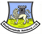 Logotip Bei Vollmond durch die Mittelalterstadt Hainburg.