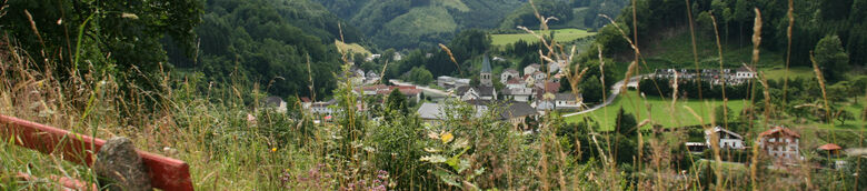 Reichraming