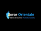 Corse Orientale - Fium'orbu Castellu