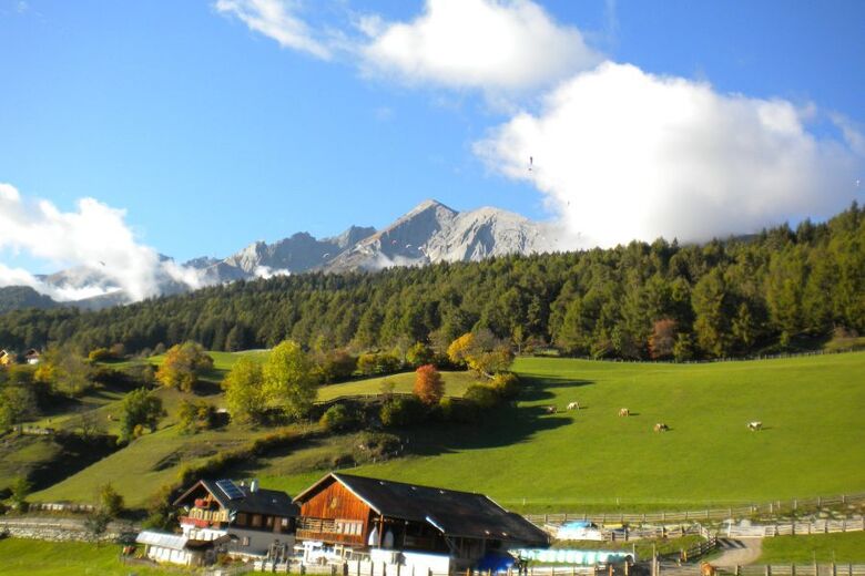 Biobauernhof Veidlerhof