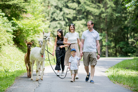 Wieserhof-Alpakahof-Auszeithof
