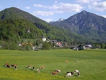 Ebenau