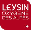 Логотип Leysin