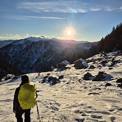 Avatar von Prof Findikus