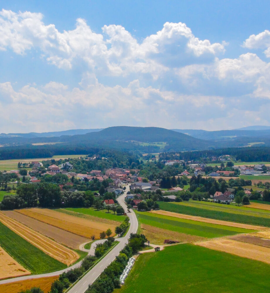Wartmannstetten