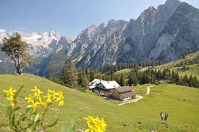 Gosau