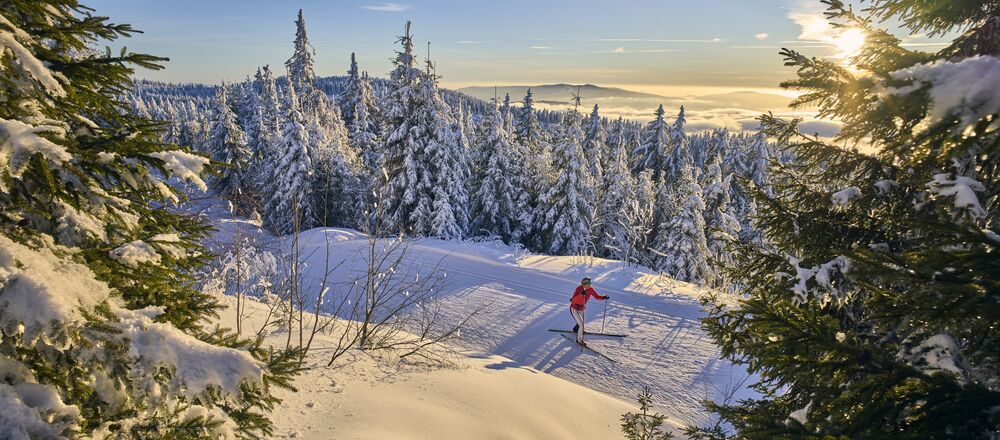 Loipenplan Aktivzentrum Bodenmais Bretterschachten