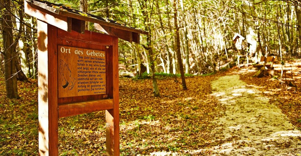 Kneipp Waldweg Bergfex Wanderung Tour Bayern