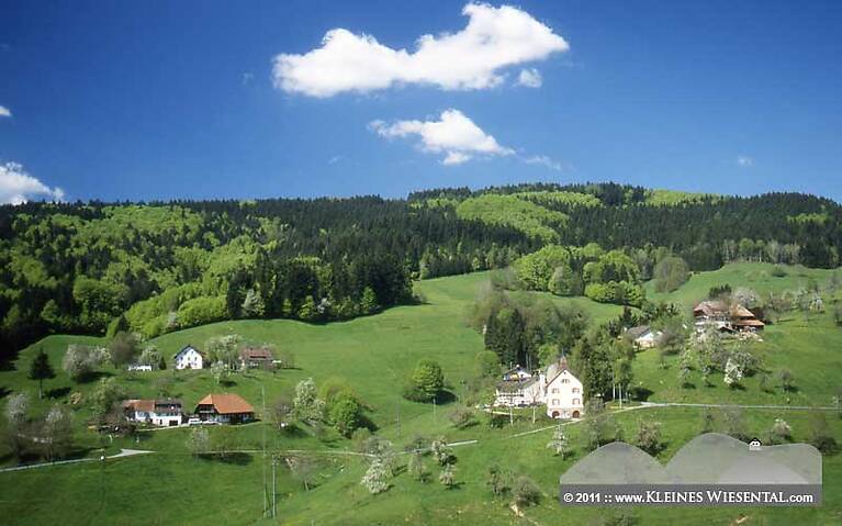Bürchau