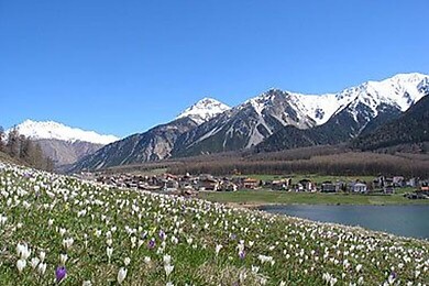 Haideralm - St. Valentin / Reschenpass