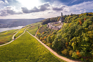 Rheingau
