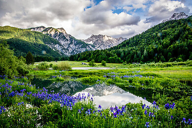 Kranjska Gora