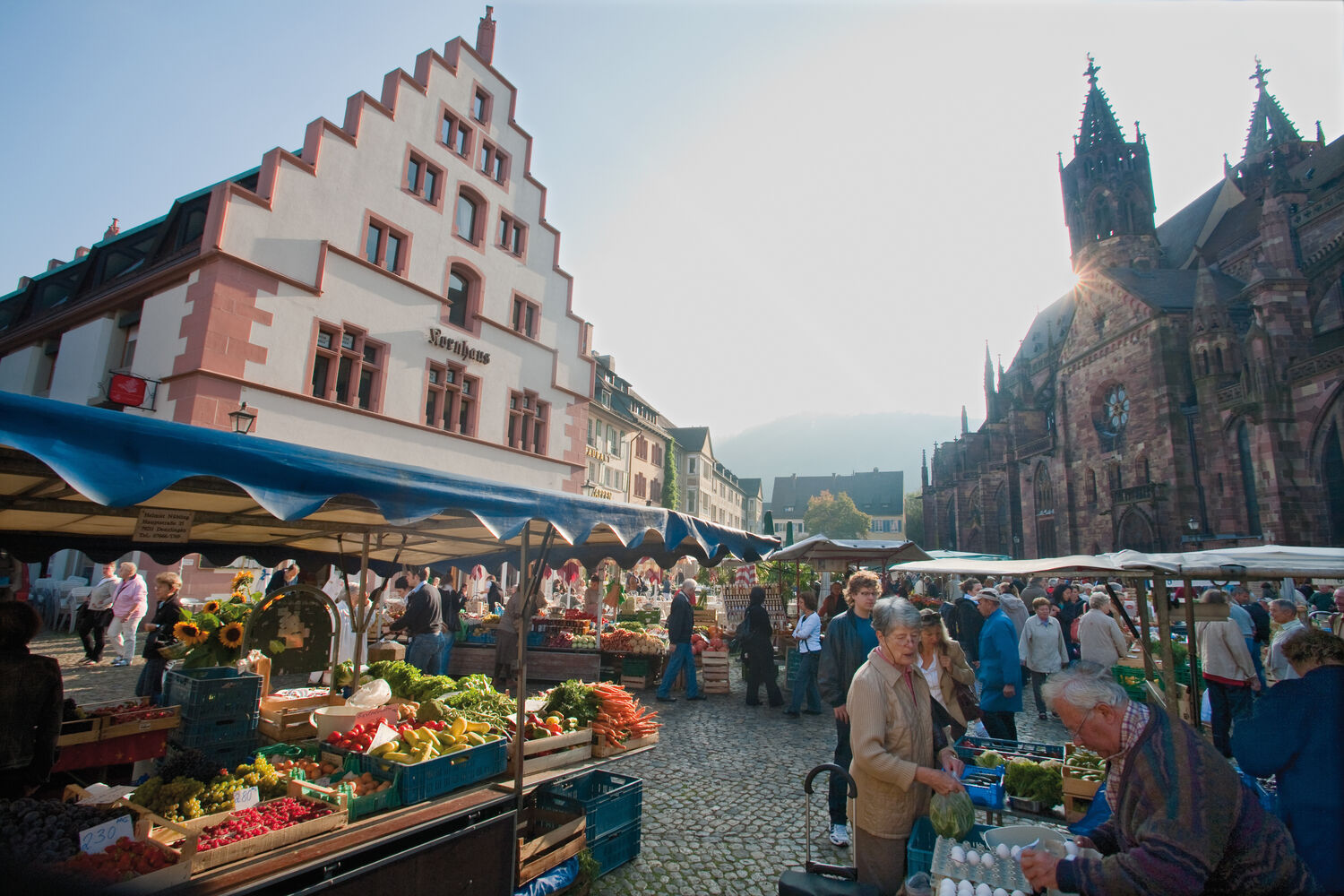 Freiburg im Breisgau