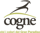 Logo Die Spitzen von Cogne - Dauerausstellung der Klöppelspitze -