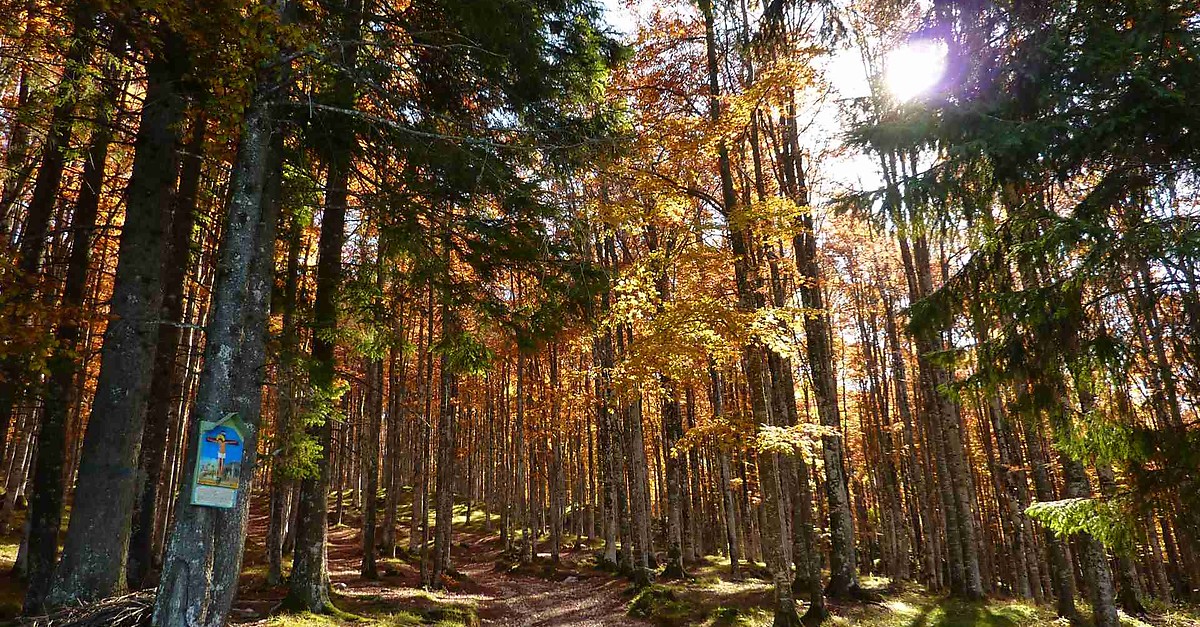 BERGFEX Tambre Urlaub Tambre Reisen Tambre