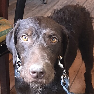 Avatar von Car Wanderfreude