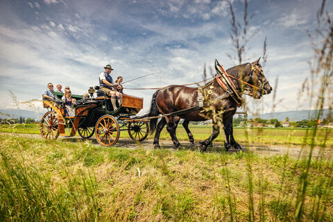 Kutschenfahrten Norikerhof