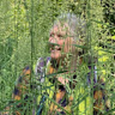 Avatar von Sylvia Zahnd