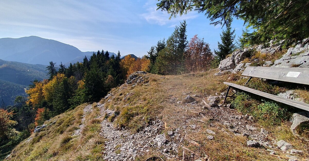 Zum Öhlerbankerl über Gauermannhütte BERGFEX Wanderung Tour