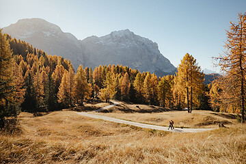 Goldener Herbst in den Dolomiten