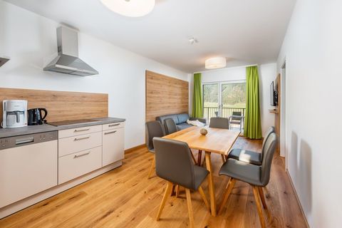 Panorama Lodge Schladming Appartements