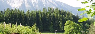 St. Anton an der Jeßnitz