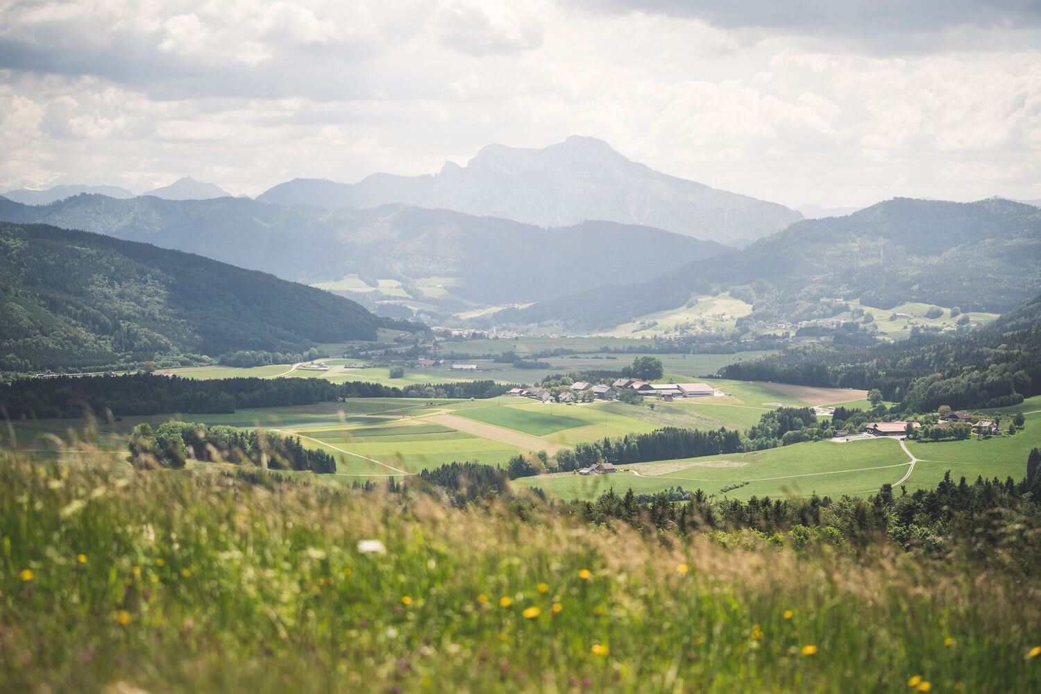 Straß im Attergau