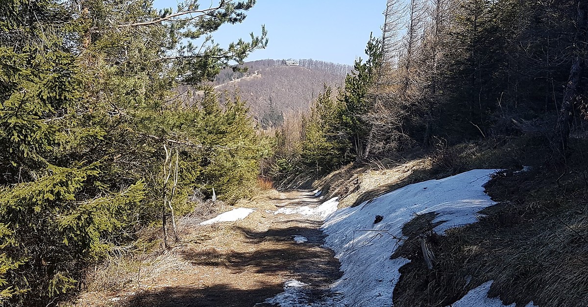 Kieneck von Ramsau BERGFEX Wanderung Tour Niederösterreich