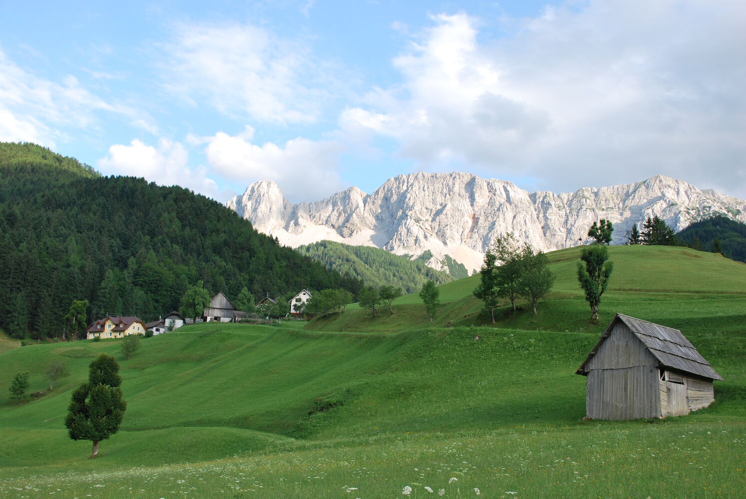 Zell-Sele
