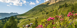 Gsiesertal - Welsberg - Taisten